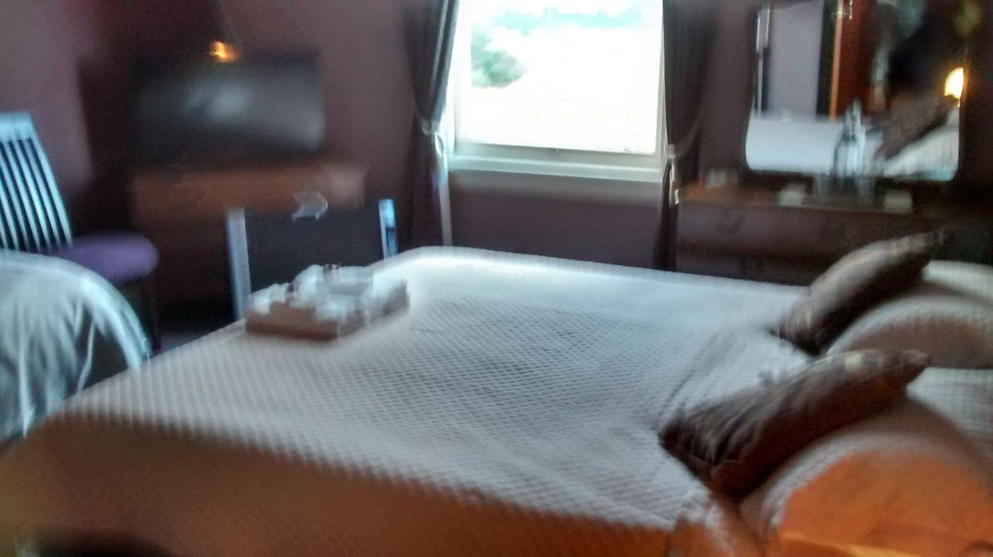 Grandview Bed & Breakfast Ντούνεντιν Εξωτερικό φωτογραφία
